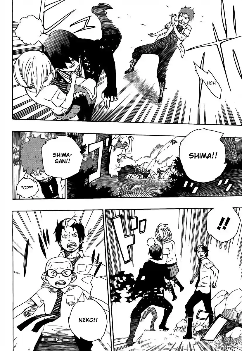 Read Blue Exorcist BR Manga Online