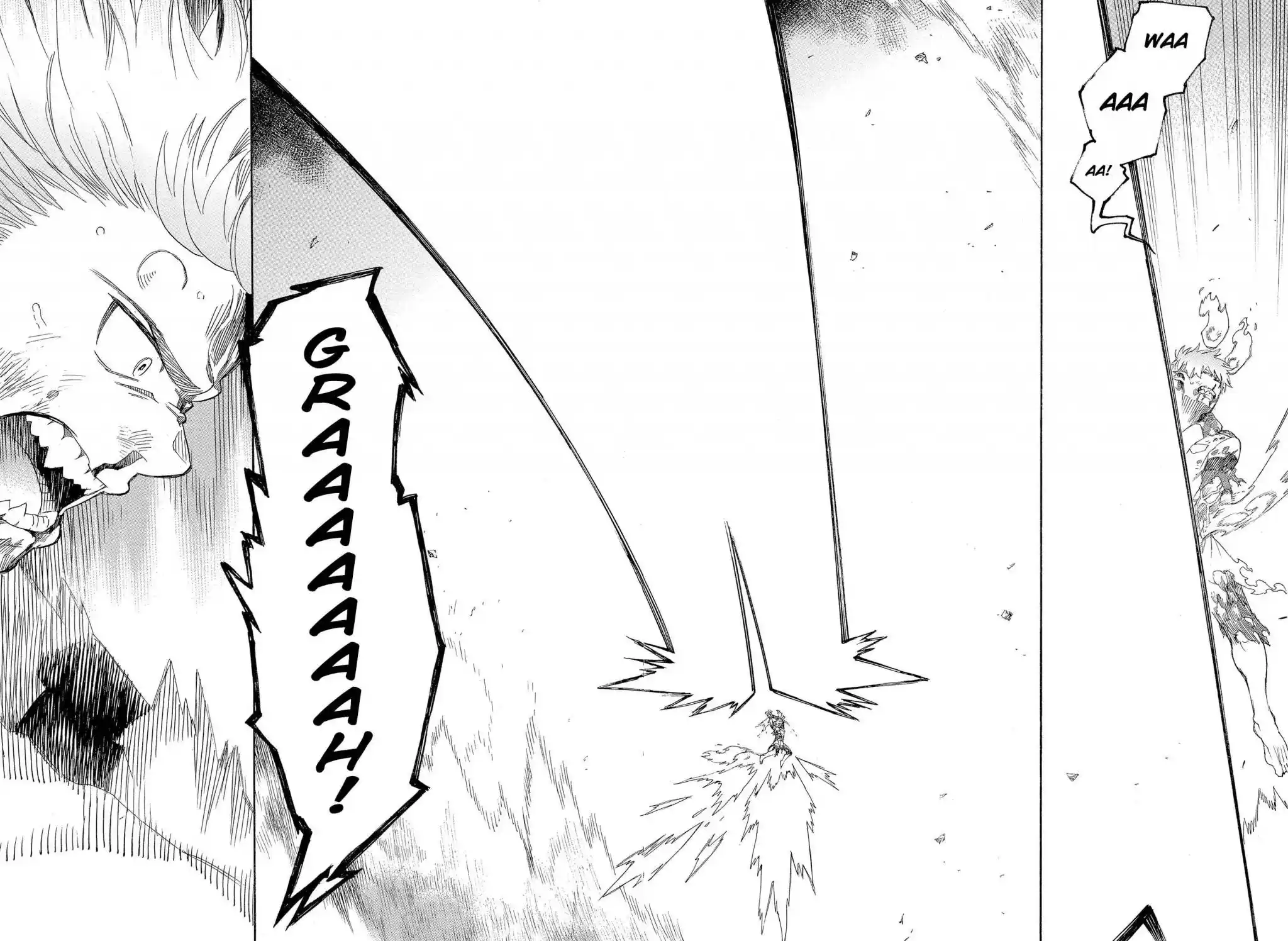 Read Blue Exorcist BR Manga Online