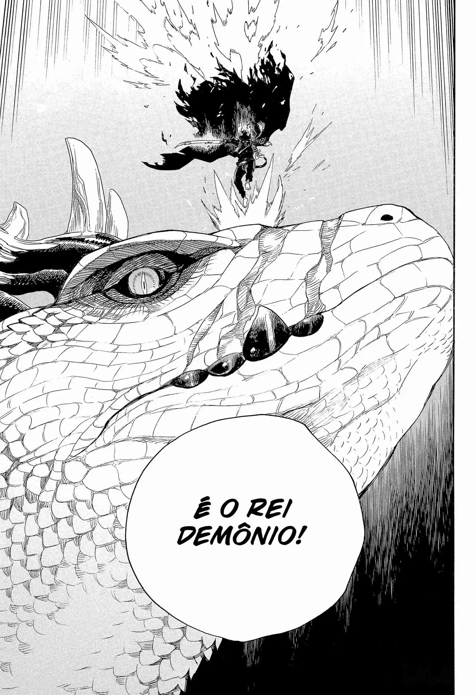 Read Blue Exorcist BR Manga Online