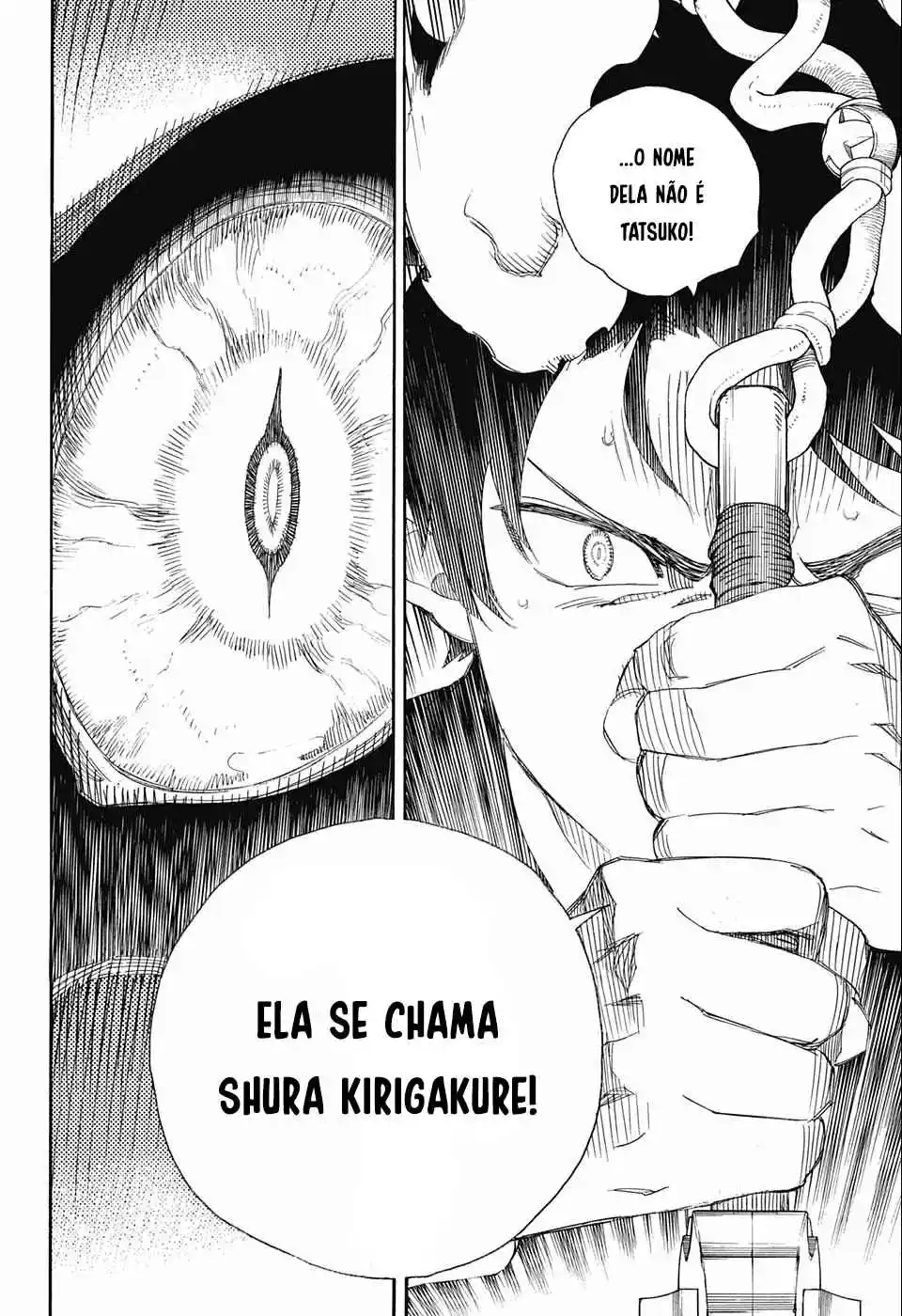 Read Blue Exorcist BR Manga Online