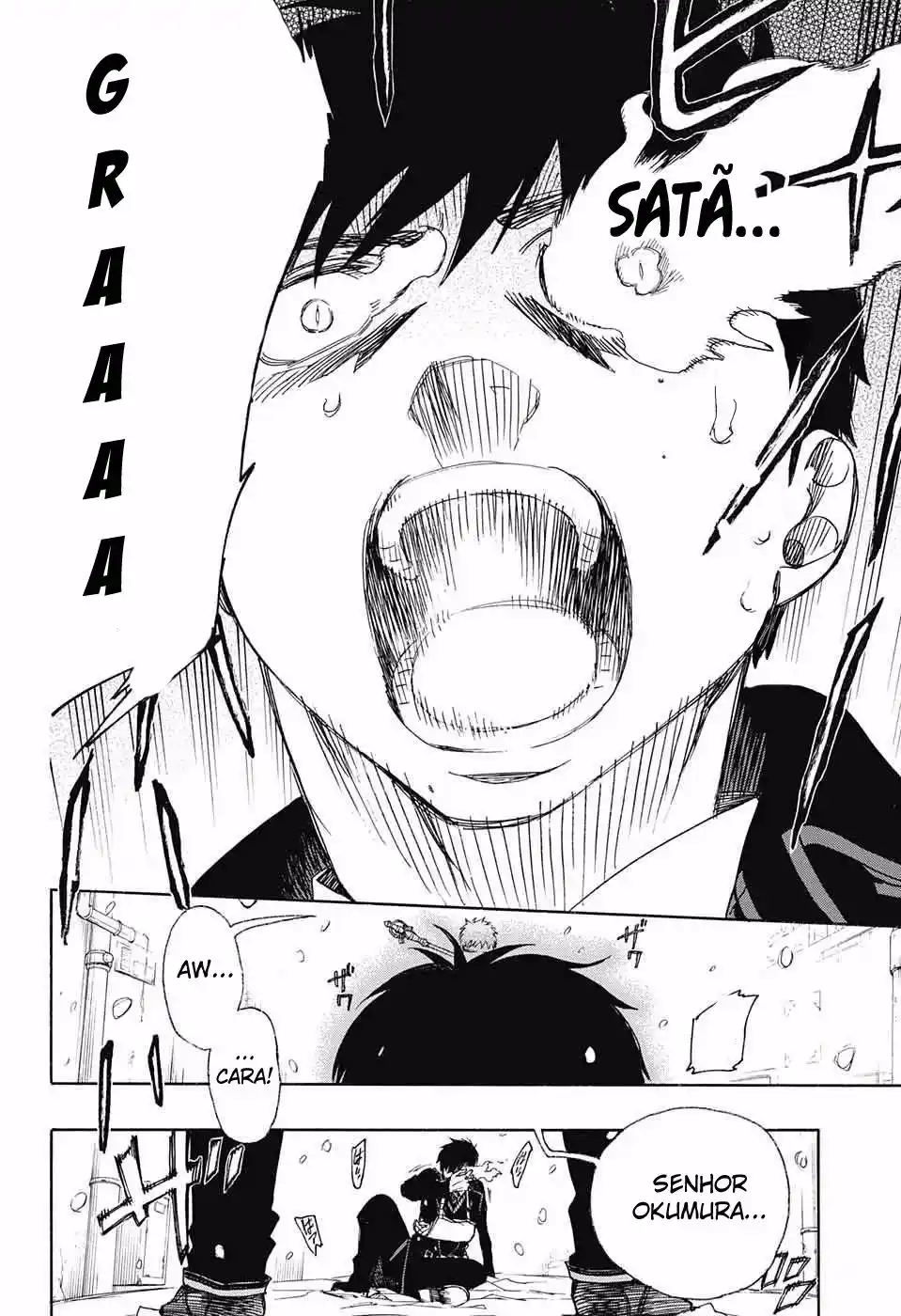 Read Blue Exorcist BR Manga Online