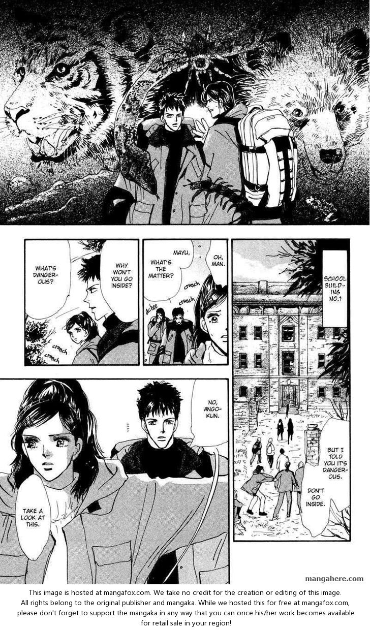 Read 7 Seeds Manga Online