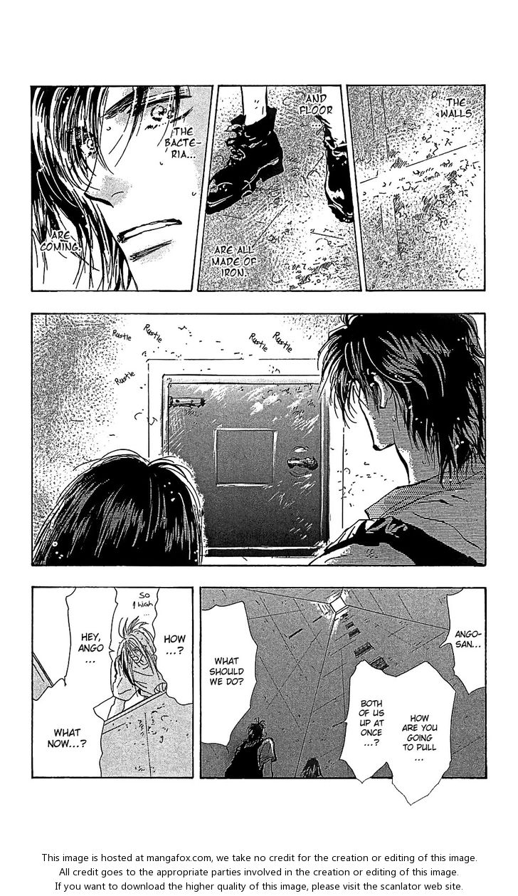 Read 7 Seeds Manga Online