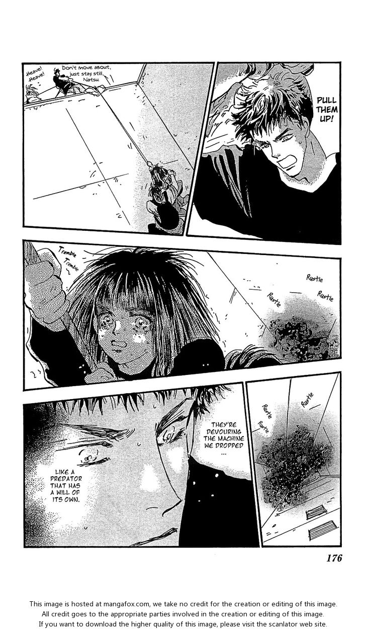 Read 7 Seeds Manga Online