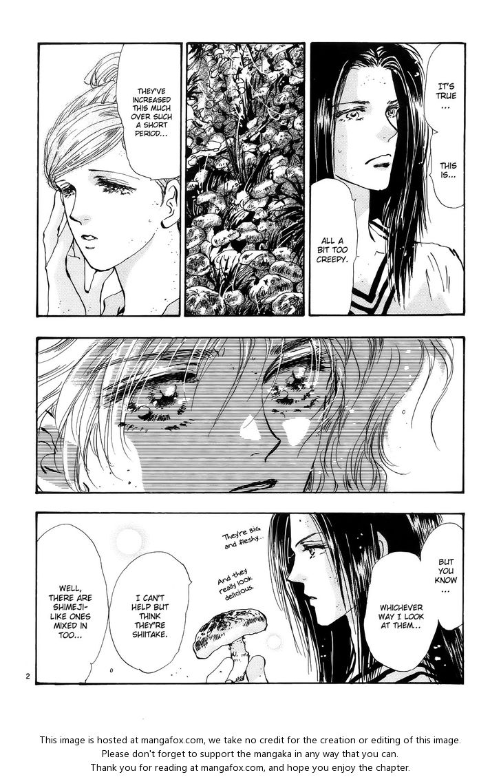 Read 7 Seeds Manga Online
