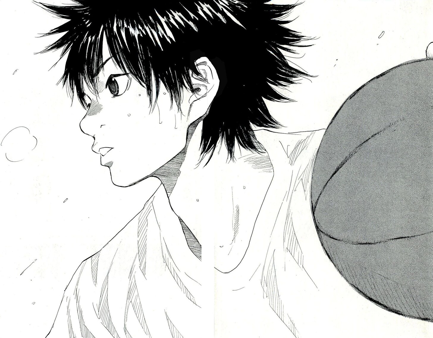 Read Ahiru no Sora Manga Online