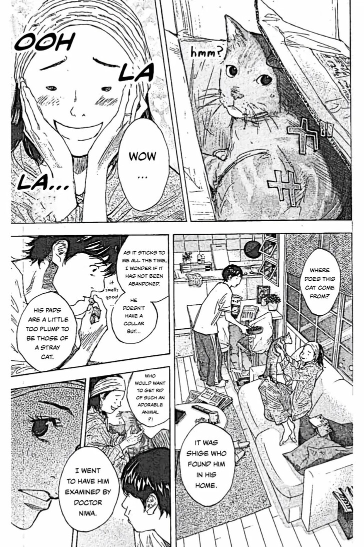 Read Ahiru no Sora Manga Online