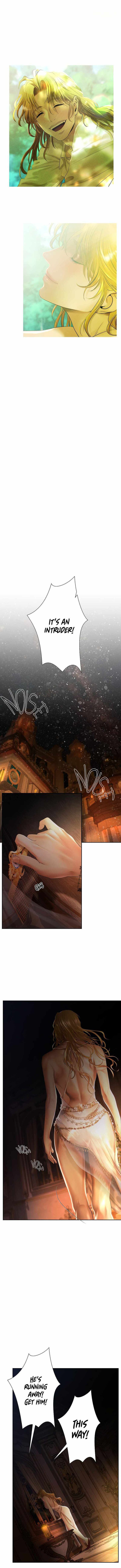 Read Barbarian Quest Manga Online