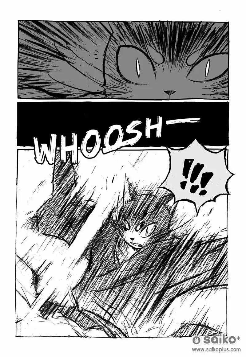 Read CAT AND FOX Manga Online