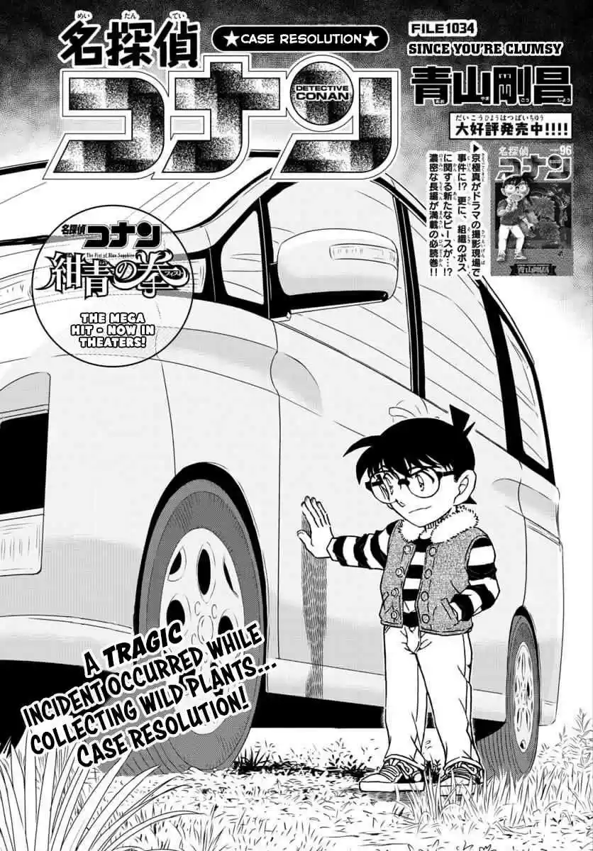 Read DETECTIVE CONAN Manga Online