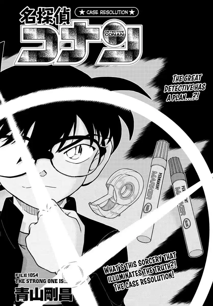 Read DETECTIVE CONAN Manga Online