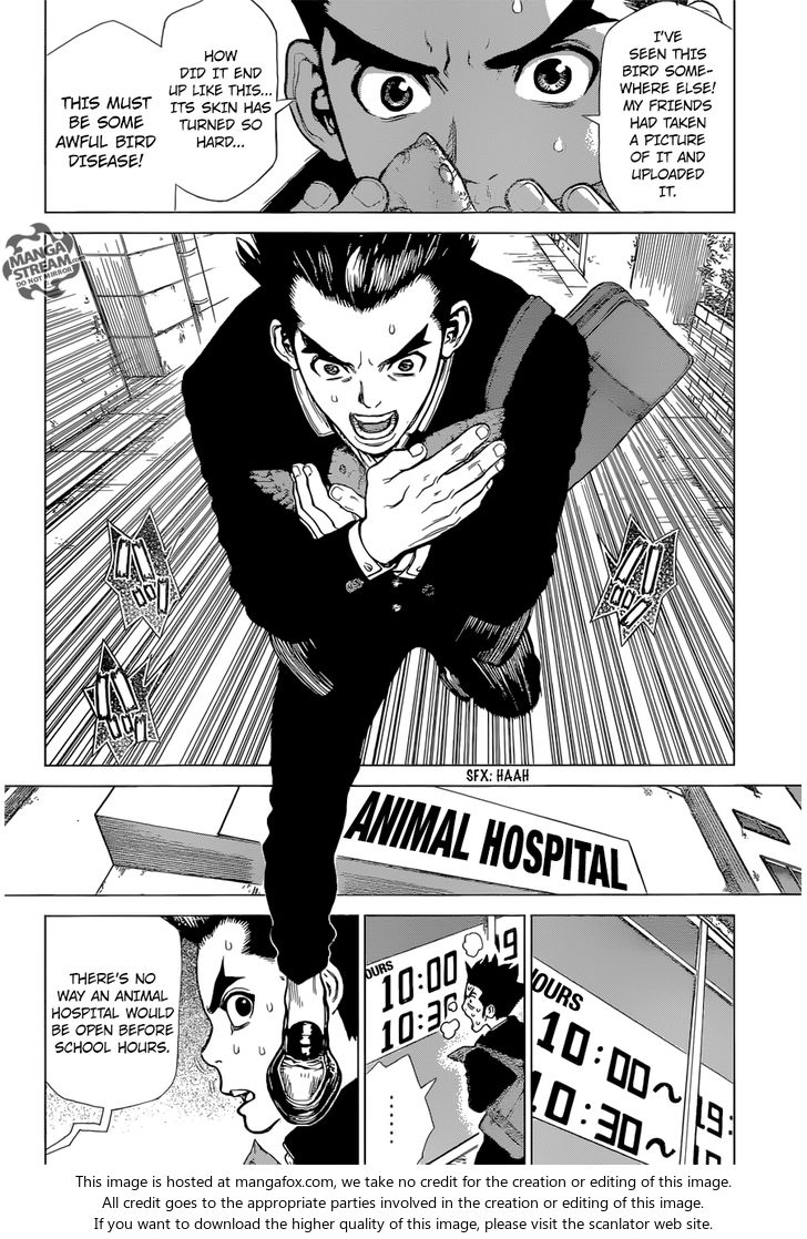 Read Dr. Stone Manga Online