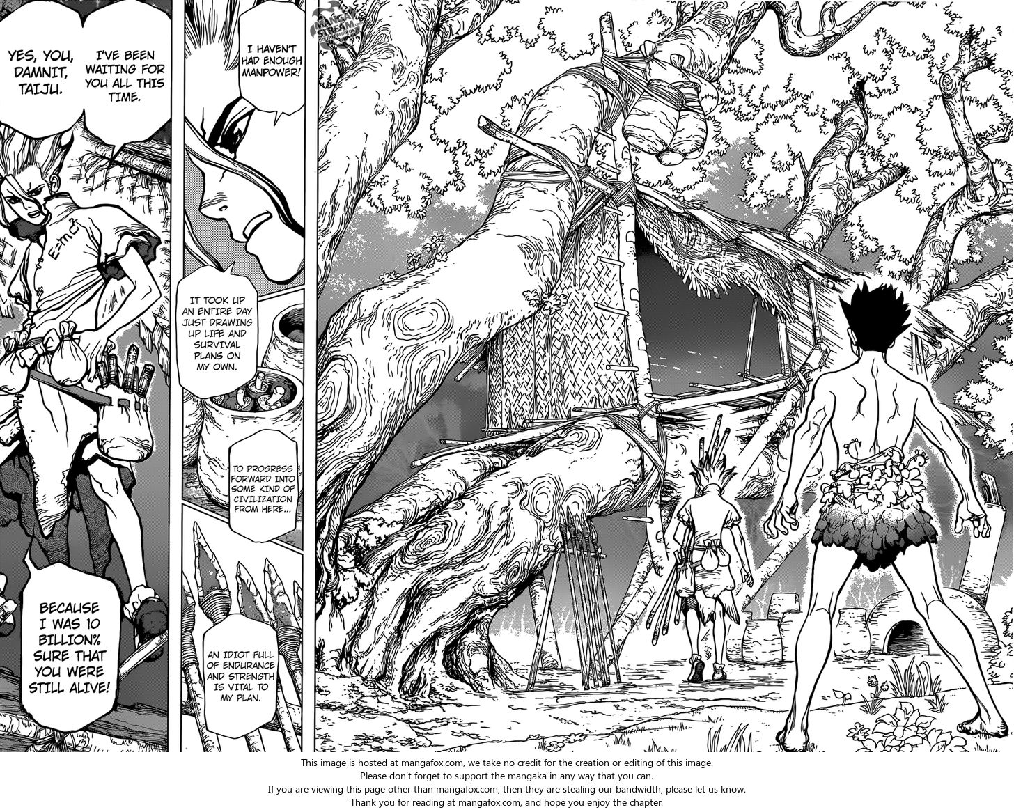 Read Dr. Stone Manga Online