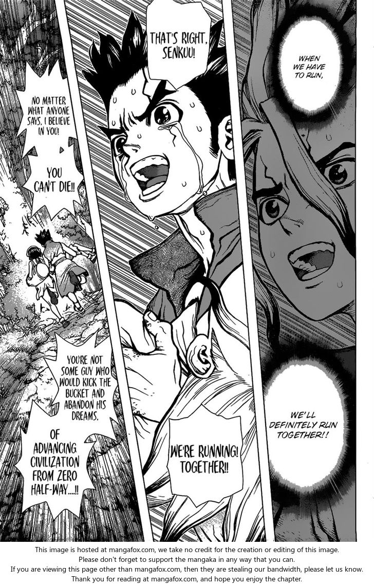 Read Dr. Stone Manga Online