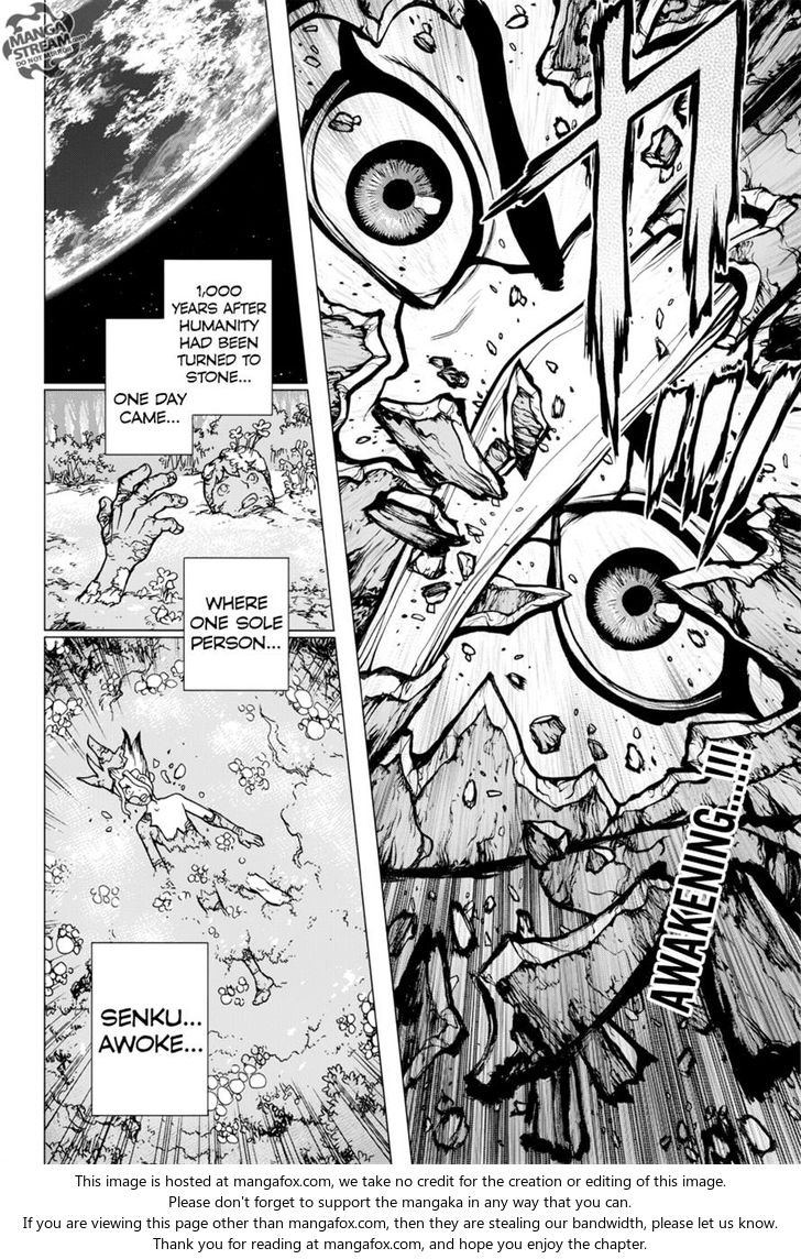 Read Dr. Stone Manga Online
