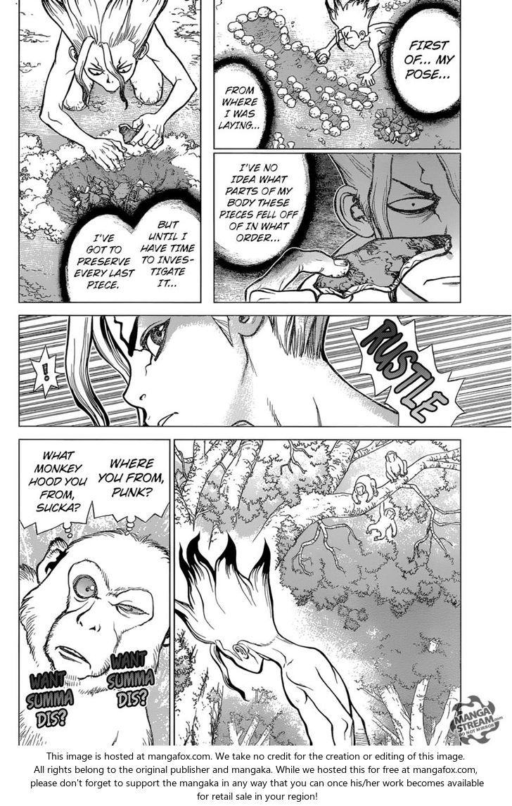 Read Dr. Stone Manga Online