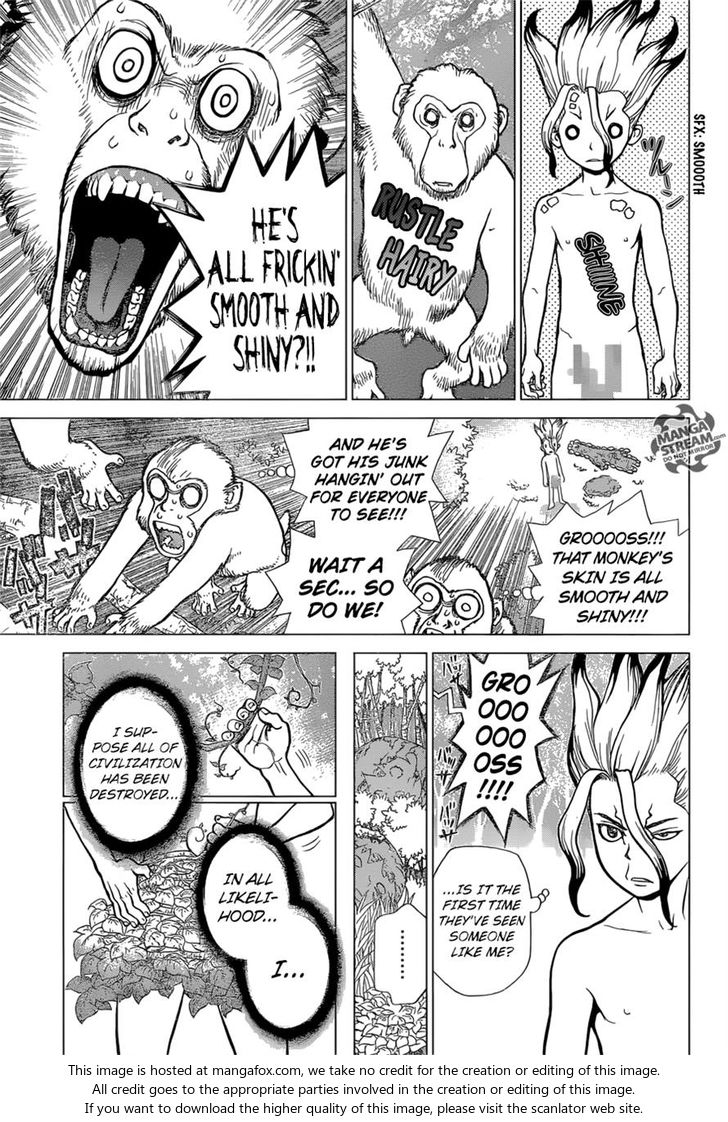 Read Dr. Stone Manga Online