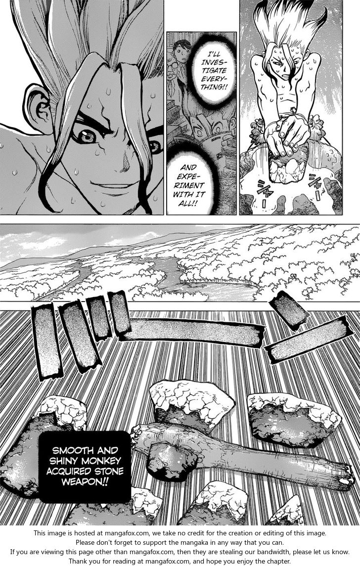 Read Dr. Stone Manga Online