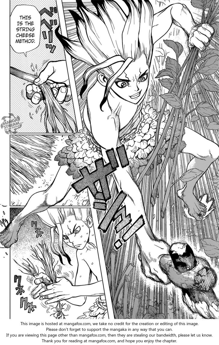 Read Dr. Stone Manga Online