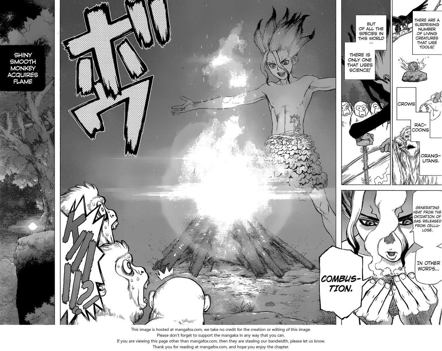 Read Dr. Stone Manga Online