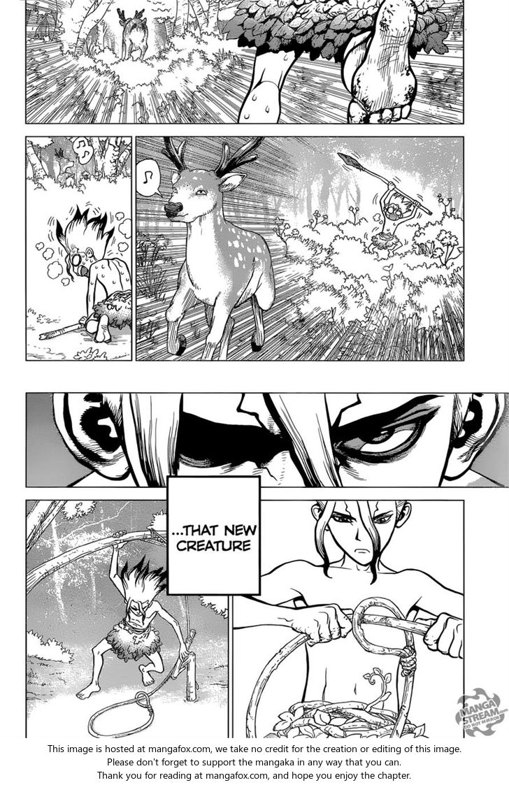 Read Dr. Stone Manga Online