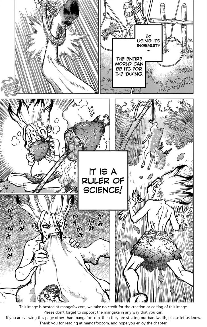 Read Dr. Stone Manga Online