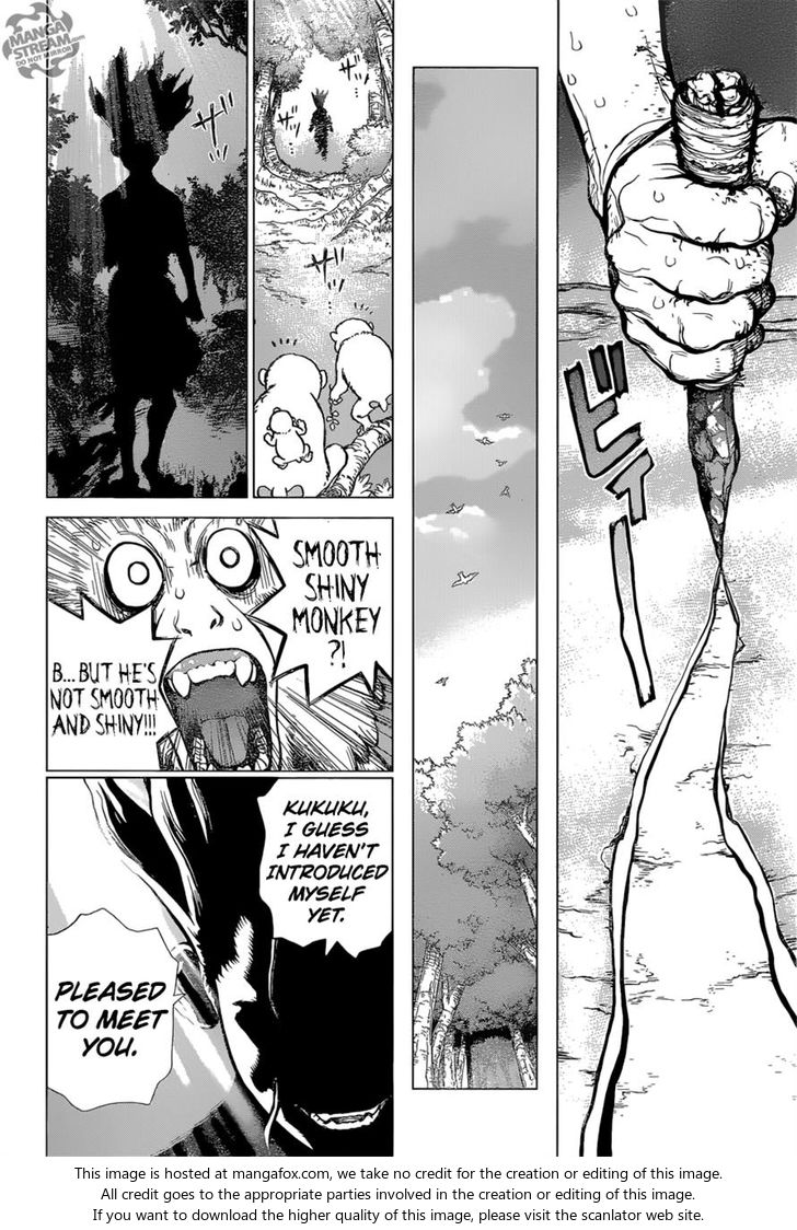 Read Dr. Stone Manga Online