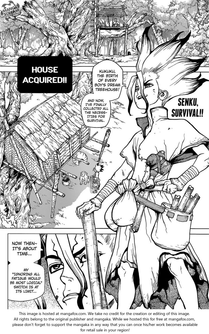 Read Dr. Stone Manga Online