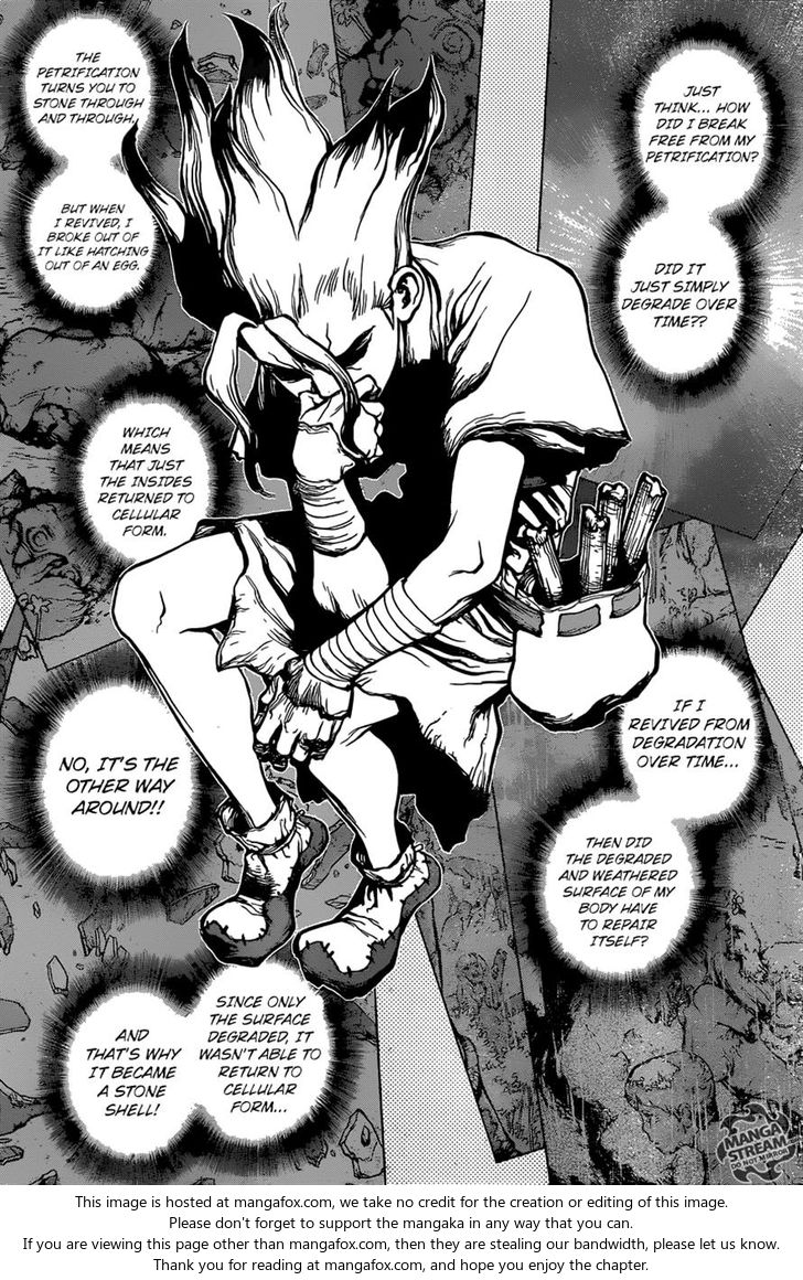 Read Dr. Stone Manga Online