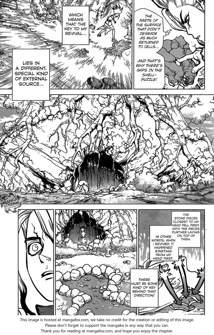 Read Dr. Stone Manga Online