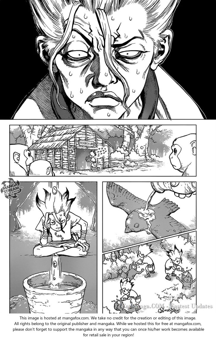 Read Dr. Stone Manga Online