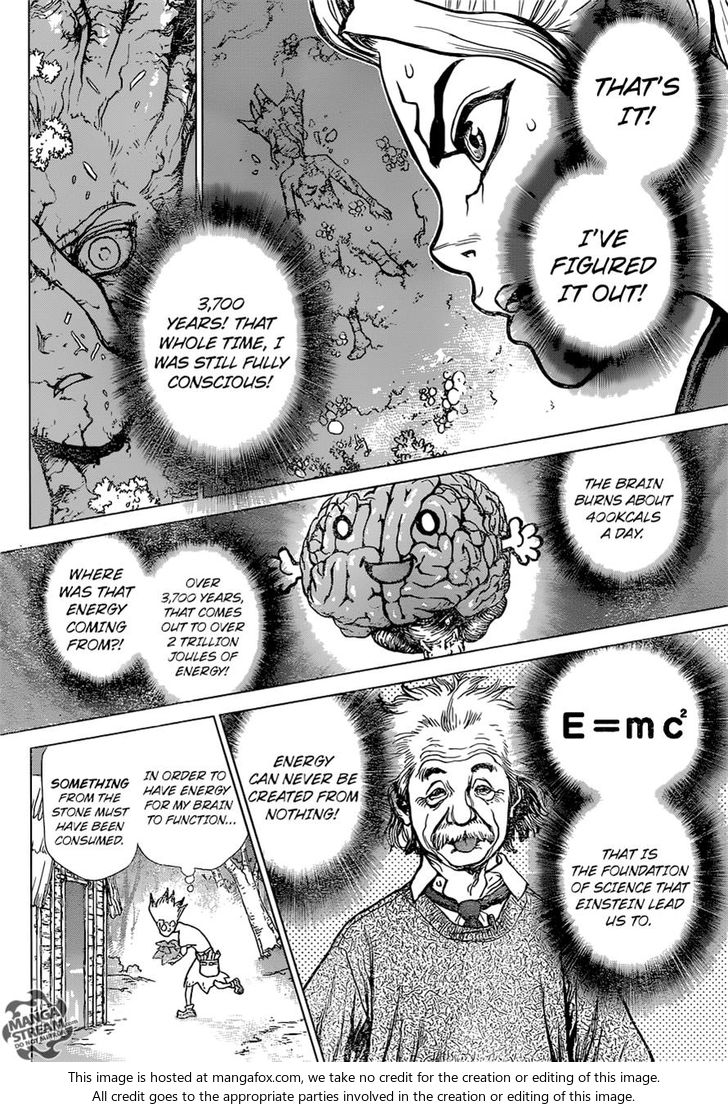 Read Dr. Stone Manga Online