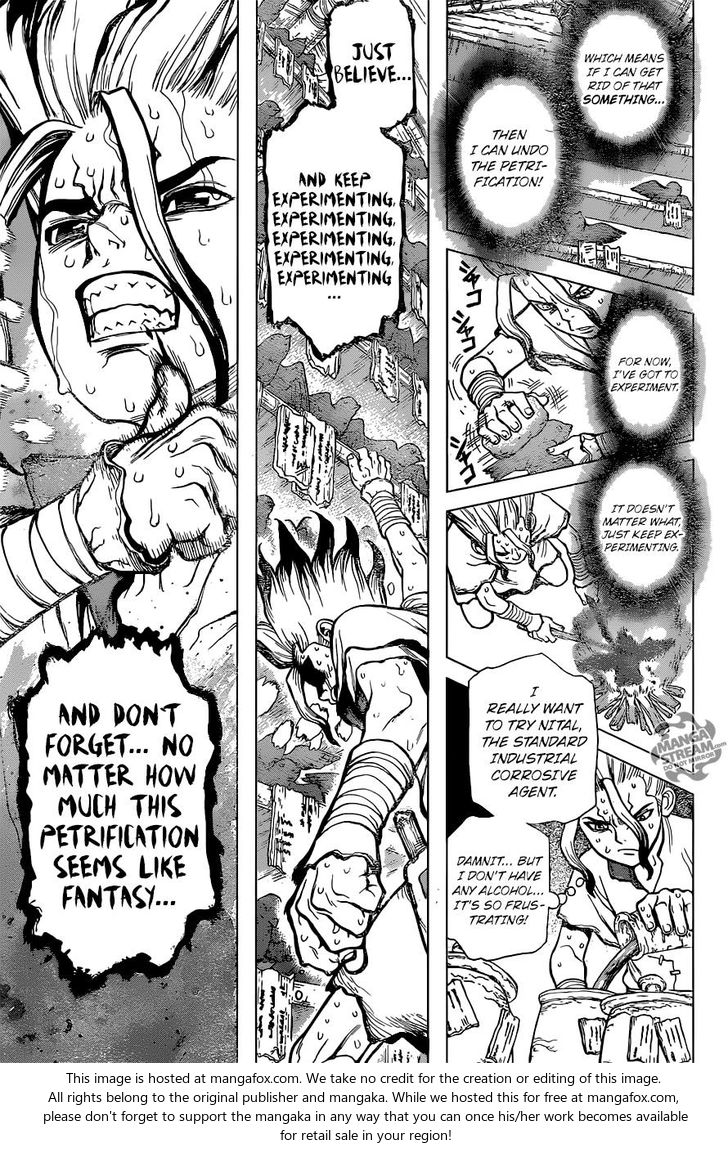 Read Dr. Stone Manga Online