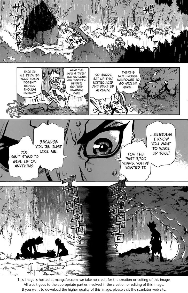 Read Dr. Stone Manga Online