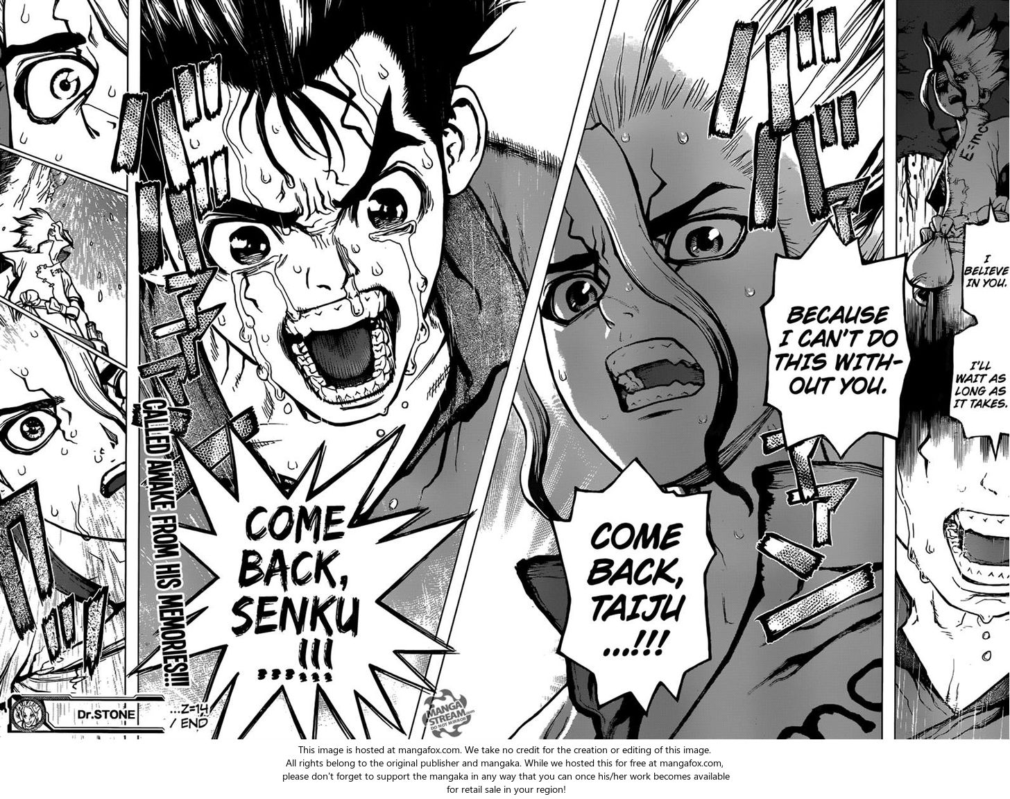 Read Dr. Stone Manga Online