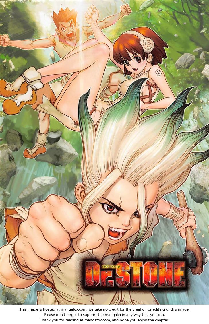 Read Dr. Stone Manga Online