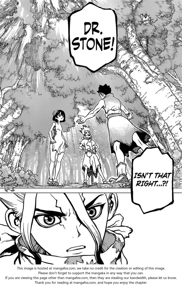 Read Dr. Stone Manga Online