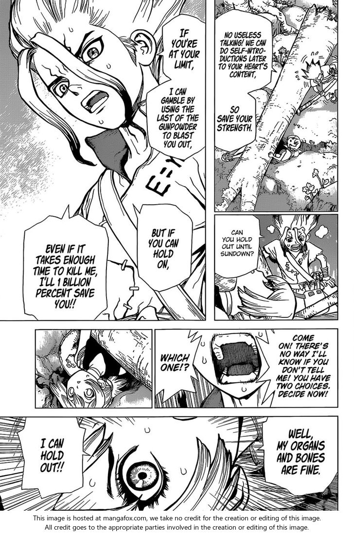 Read Dr. Stone Manga Online