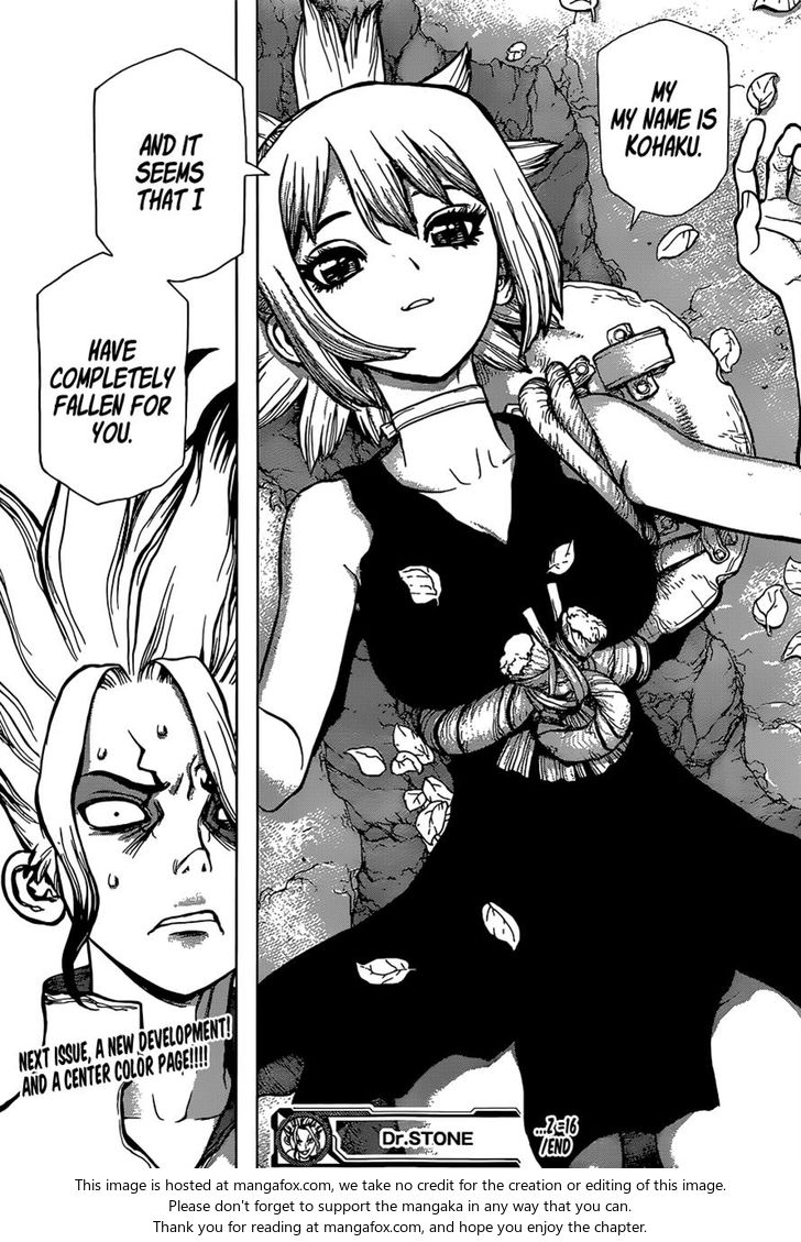 Read Dr. Stone Manga Online