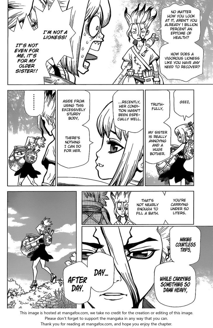 Read Dr. Stone Manga Online