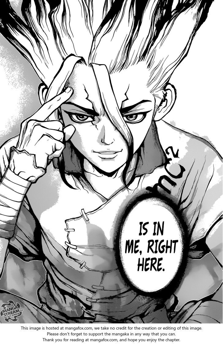 Read Dr. Stone Manga Online