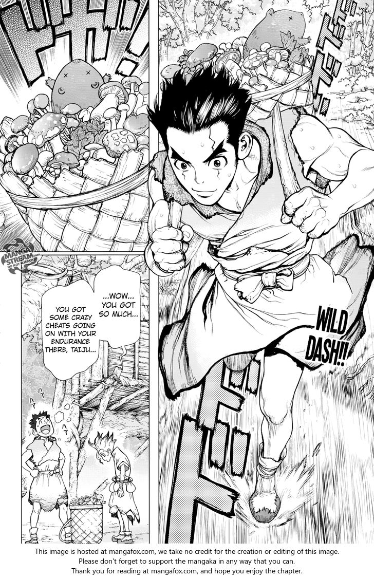 Read Dr. Stone Manga Online