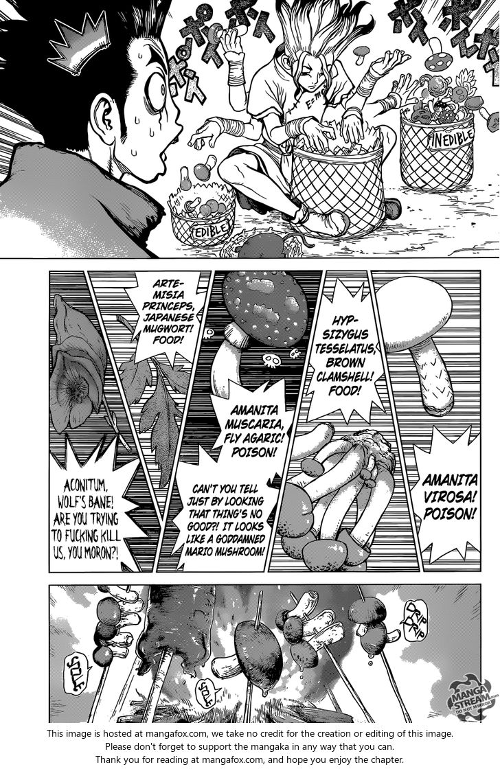 Read Dr. Stone Manga Online