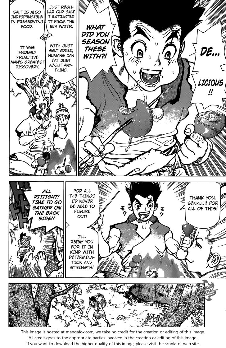 Read Dr. Stone Manga Online