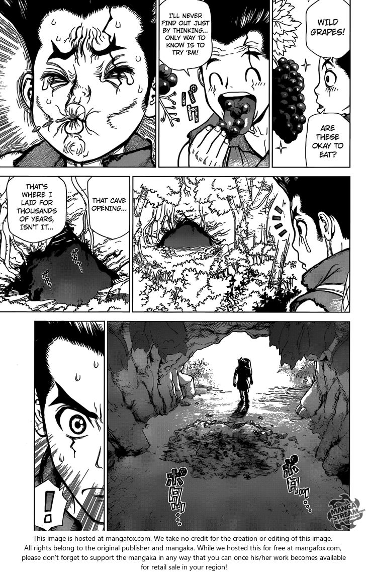 Read Dr. Stone Manga Online