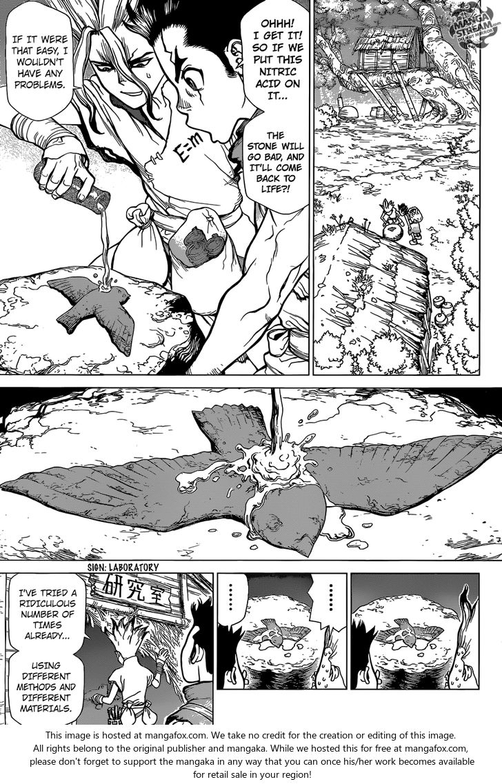 Read Dr. Stone Manga Online