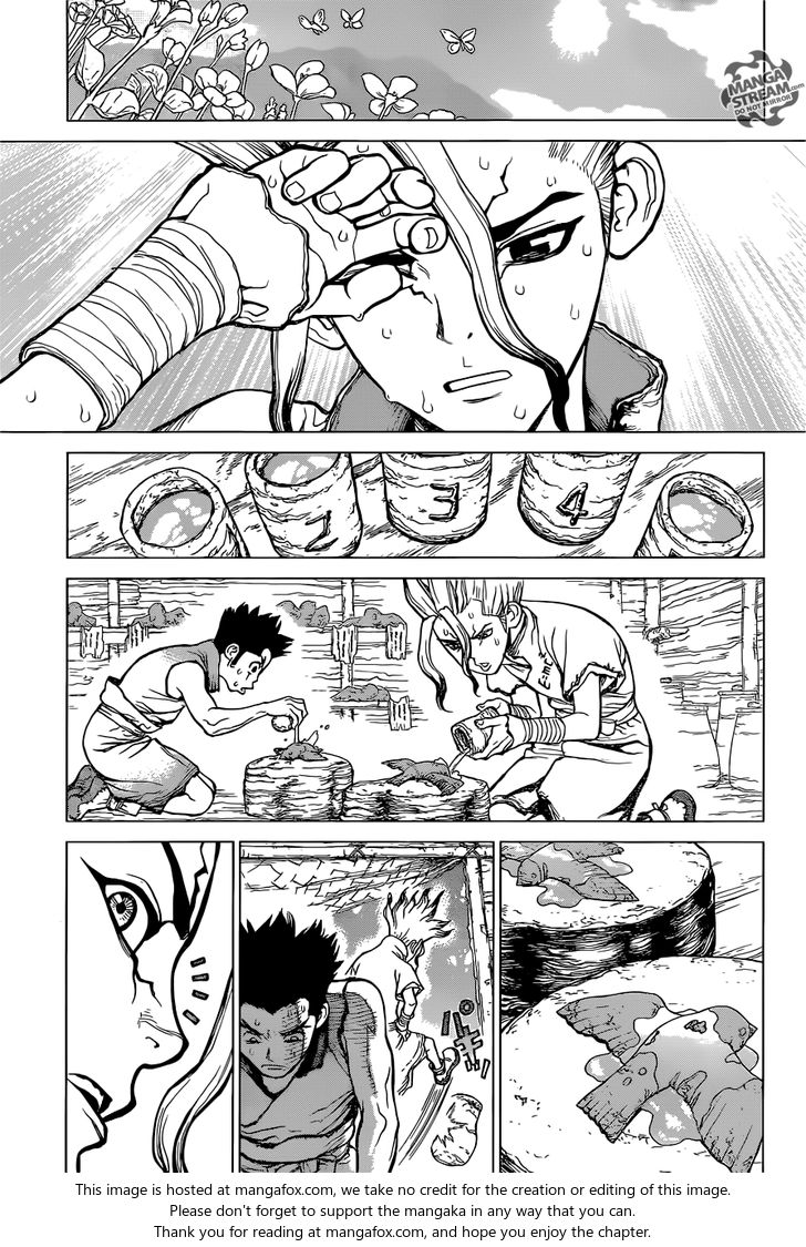 Read Dr. Stone Manga Online