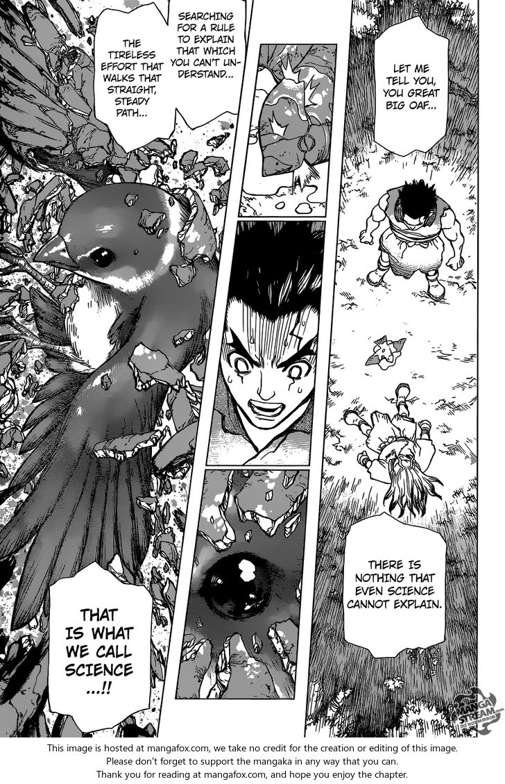 Read Dr. Stone Manga Online