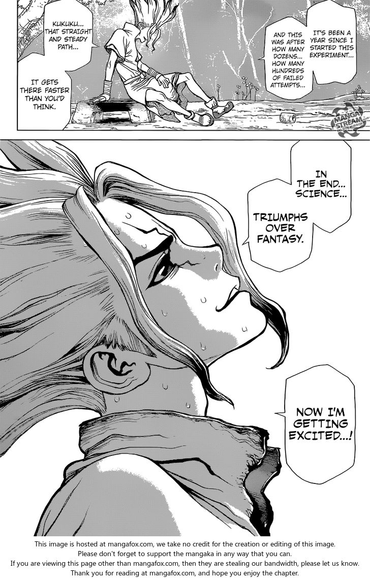 Read Dr. Stone Manga Online