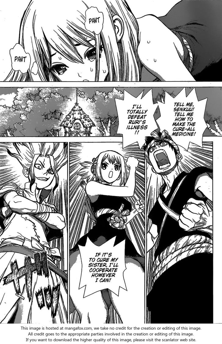 Read Dr. Stone Manga Online